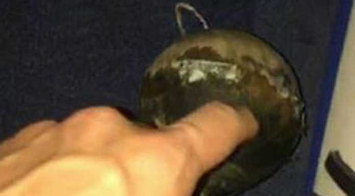 Sul lago per guardare i fuochi e un “botto” gli piomba in barca