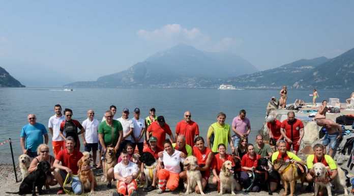 Tuffo a 4 zampe, le unità cinofile ‘invadono’ il lido di Bellano