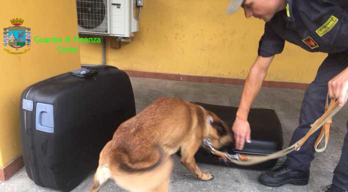 In autobus con cinque chili di eroina in valigia, fermata alla dogana