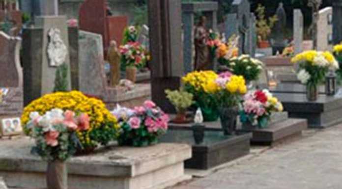 Lettera. “Ancora furti di fiori al cimitero e nessuno fa nulla”