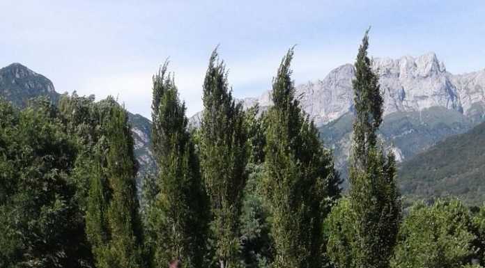 Il Padiglione Estonia di Expo a Mandello? Ecco l’idea