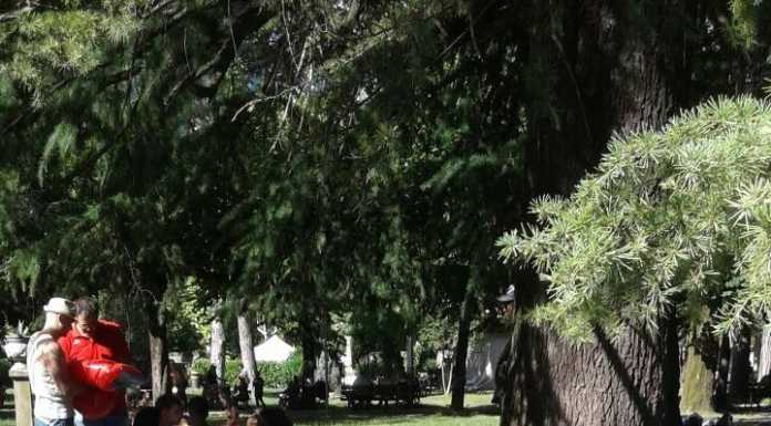 Mandello. Silverij: “Ci risiamo, ennesima ‘occupazione’ della zona a lago”