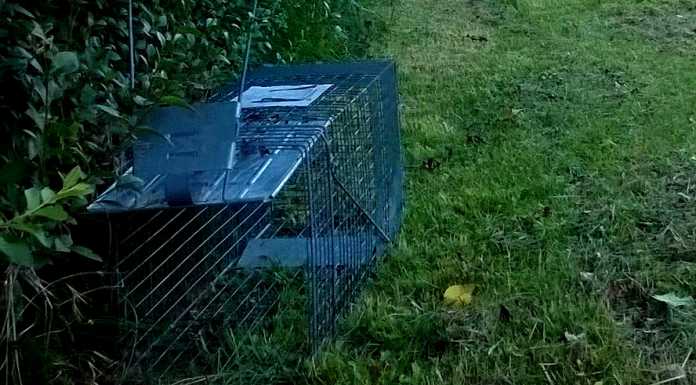 Trappole per nutrie a Garlate: interviene la Lega Anti Caccia