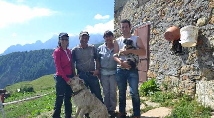 Progetto Pasturs: lupi e orsi delle Orobie non fanno più paura