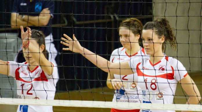 Verso la B2. Altri quattro innesti nella rosa della Pallavolo Olginate