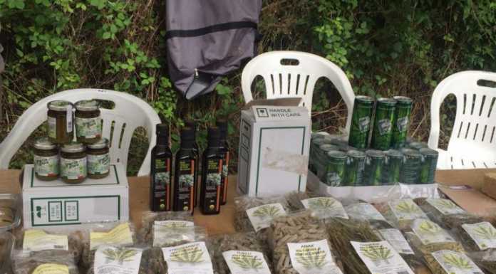 A Erba la fiera della canapa stimola il dibattito sulla Cannabis Sativa