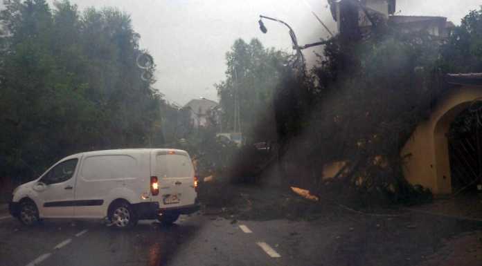 Forte temporale sul lecchese, alberi caduti a Cremeno. VVF al lavoro