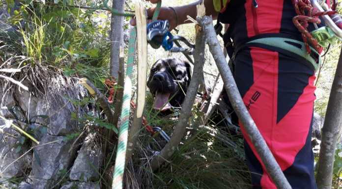 VIDEO – Il salvataggio del cane Cesare nel filmato di Franco Lozza