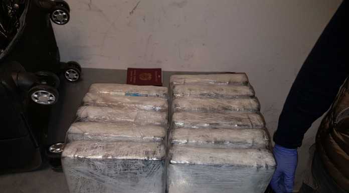 Operazione “San Pedro”: sequestrati 22 kg di Coca e 5 arresti