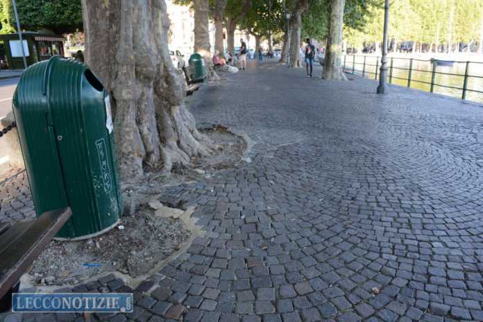 lungolago lecco (11)