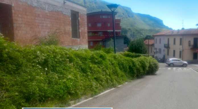 Ostello della Gioventù, un muro verde come recinto: dateci un taglio!