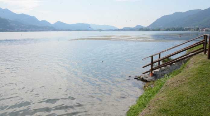 Pescate. La Punta è di nuovo balneabile: bene le analisi e via le alghe