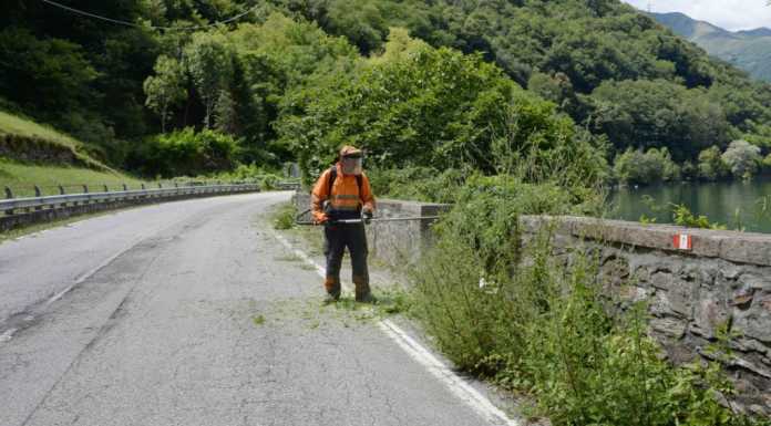 Provinciale 72, lavori di pulizia del verde tra Dorio e Colico