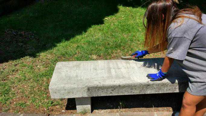 Living Land: anche Valmadrera i giovani al lavoro per il bene della città