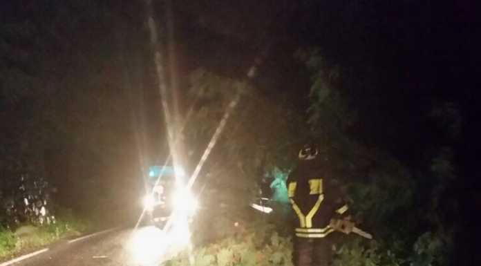 Temporale: cadono alberi in strada a Mandello e Ballabio, VVFF al lavoro