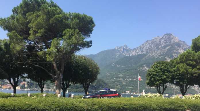 Lungolago. I cani si azzuffano e i padroni…pure