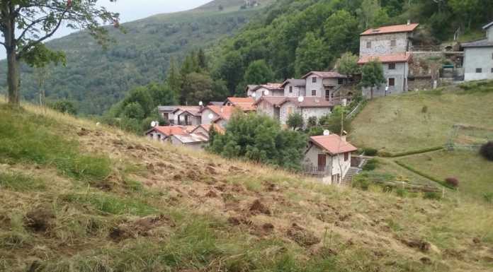 Casargo: i cinghiali fanno paura, incursione vicino alle case