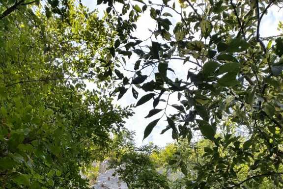 Incrodata sulla ferrata dei Corni di Canzo, Soccorso Alpino al lavoro