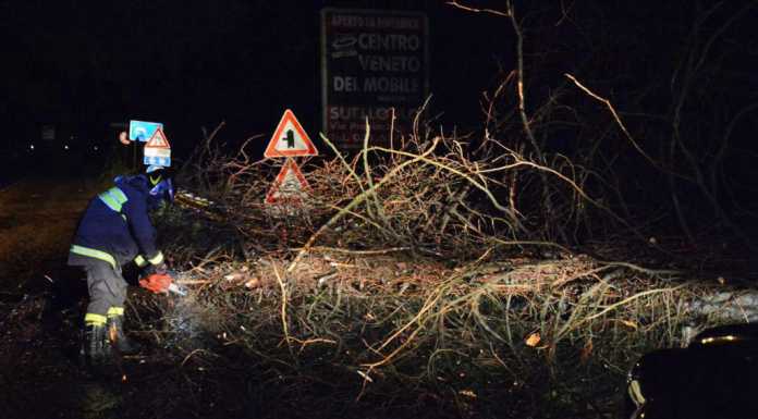 Maltempo: alberi caduti e allagamenti. Chiusa una strada a Galbiate