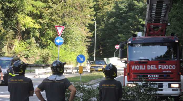 Laorca, albero cade su casa abbandonata, VVFF al lavoro
