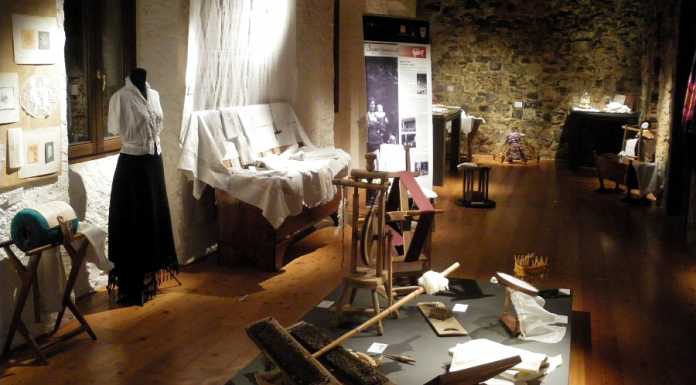 Parco Monte Barro. Visite al MEAB e al MAB, circondati dalla bellezza