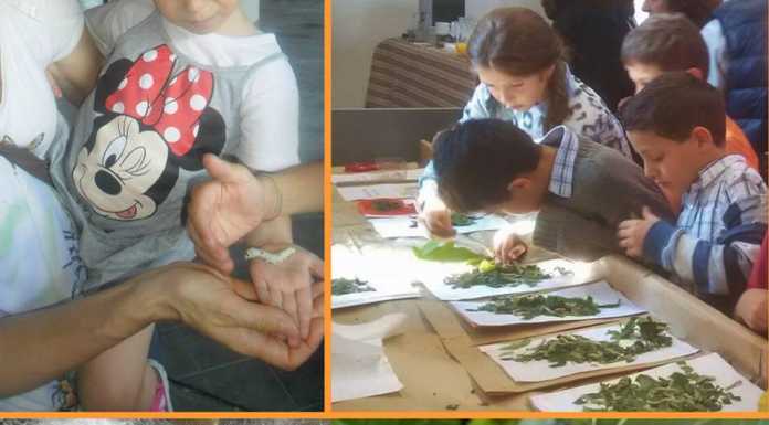 #Adotta un baco: la nuova campagna del Museo della Seta Abegg