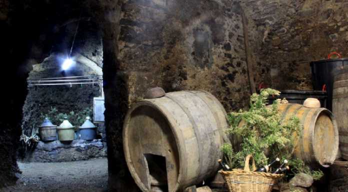 Vino, tradizioni e musica. Nel weekend torna “Olcio in Cantina”