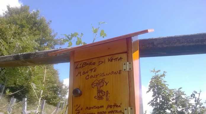 Grazie a Matteo Ratti oggi anche il Coltignone ha il suo libro di vetta