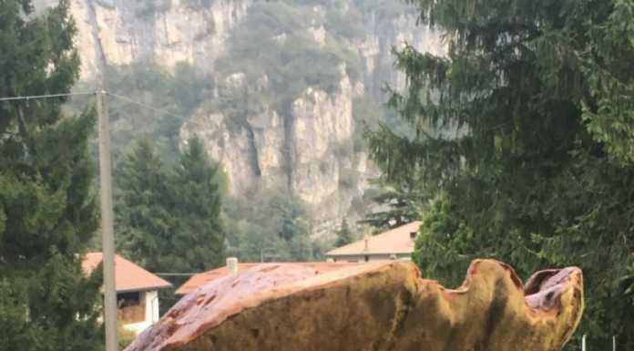 Ballabio: trovano un fungo di 1,8 kg, sorpresa per nonno e nipoti