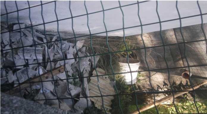 Eternit all’ex vellutificio. “Nessuno ha fatto nulla”. Rancio raccoglie le firme