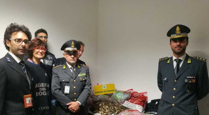 A Orio sequestrati oltre mille volatili protetti, denunciati cacciatori