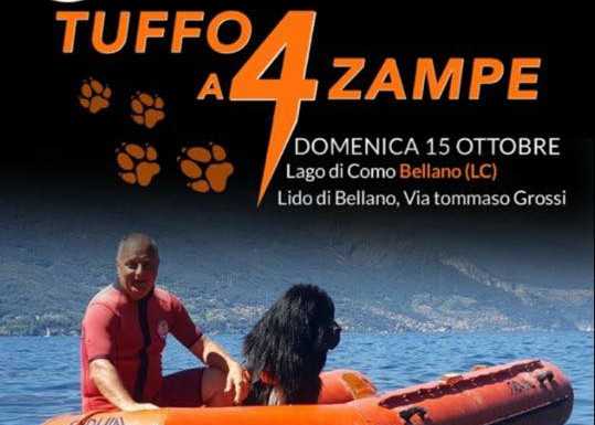 “Tuffo a 4 zampe”, domenica a Bellano in azione i cani bagnini