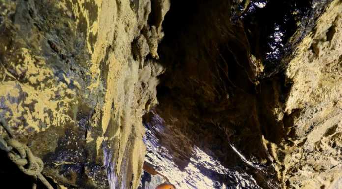 “Fotografare il buio”, il nuovo corso a cura del WWF Lecco