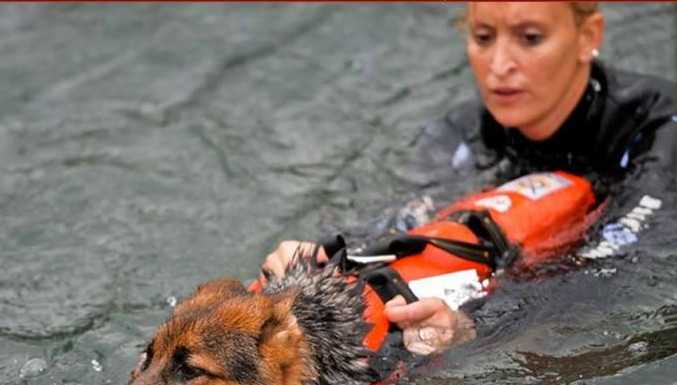 Varenna. Esercitazione in notturna con i cani bagnini dell’Acsn