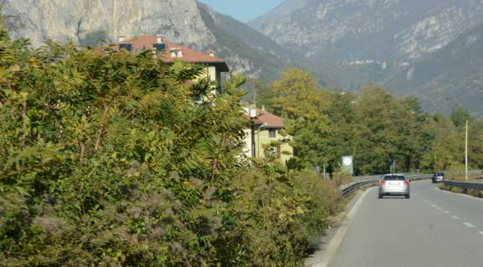 Valmadrera. Verde incolto lungo l’ex SS36: “Sembra una giungla”