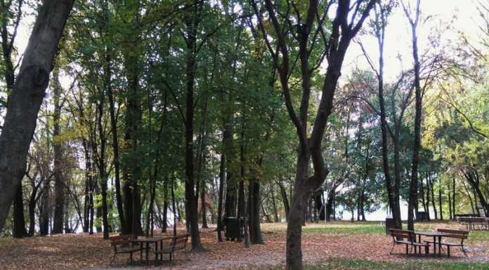 Il parco del Lavello cambia volto. L’assessore: “Un bel risultato”