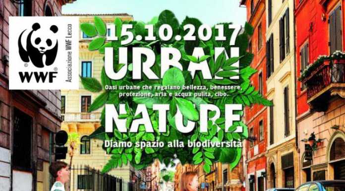 Caccia al tesoro e IMARun, il fine settimana lecchese è con il WWF
