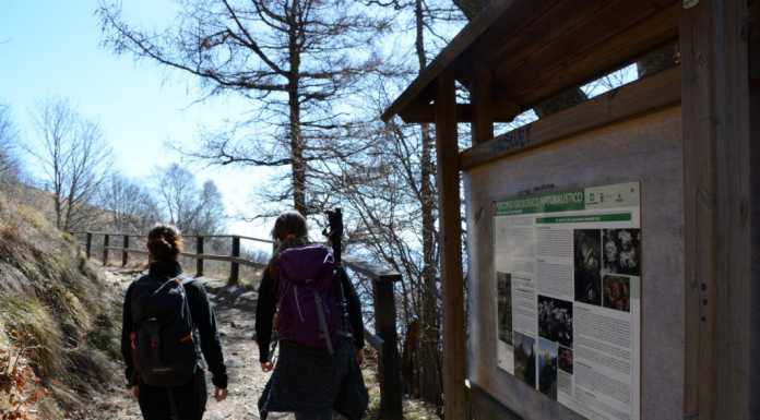 Escursioni guidate ai Piani Resinelli, ultimi posti disponibili