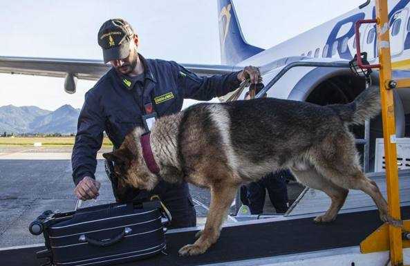 Orio. I controlli della Finanza: valuta non dichiarata e sostanze illecite