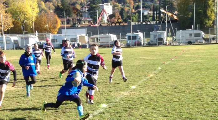 Rugby giovanile. Domenica il via al trofeo “Città di Lecco”