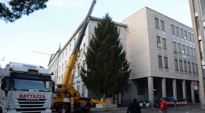 Lecco. Ecco l’albero di Natale “è più grande dello scorso anno”