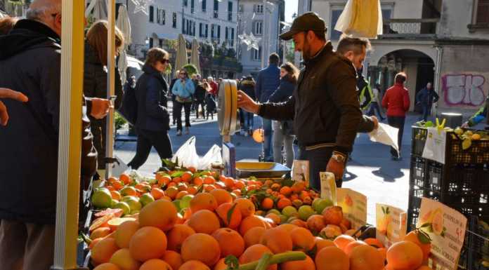L’agricoltura in piazza, è la Festa del Ringraziamento