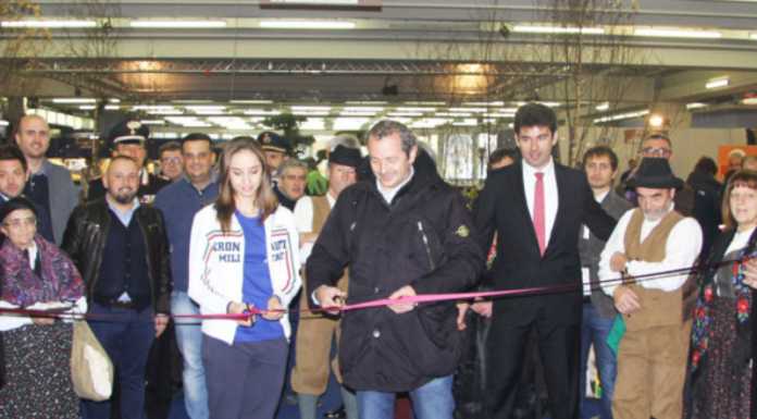 Morbegno si prepara alla tradizionale Festa d’Autunno