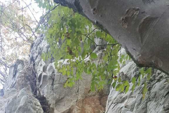 Calolzio. Masso franato, sopralluogo di assessore e geologo