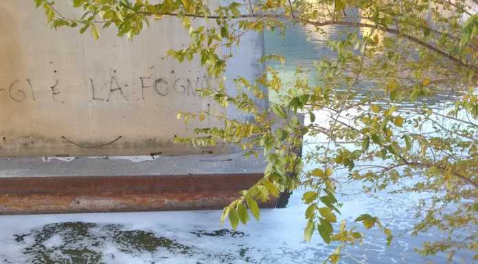 Scarico anomalo nella zona del depuratore: schiuma bianca nel lago