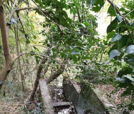 Calolzio. L’assessore Mazzoleni:”I torrenti non sono fognature”