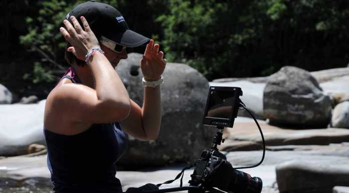 Nicoletta Favaron nominata vice presidente del Film Festival di Trento