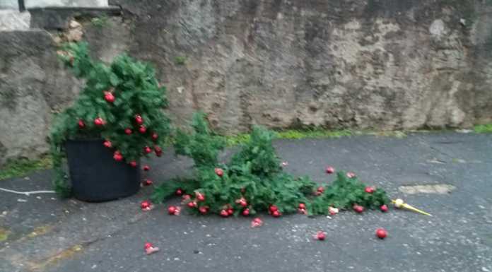 Chiuso: vandalo rovina l’albero di Natale della Parrocchia e si fa filmare