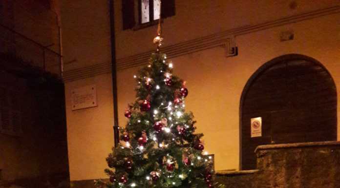 Dopo il vandalismo, a Chiuso l’albero di Natale torna a splendere
