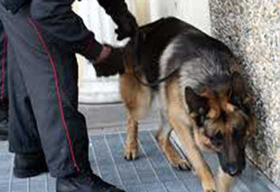 Casargo, controlli dei carabinieri cinofili all’istituto alberghiero